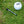 Load image into Gallery viewer, Bamboo Golf Tees (50 pack)
