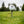 Load image into Gallery viewer, Bamboo Golf Tees (50 pack)
