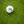 Load image into Gallery viewer, Bamboo Golf Tees (50 pack)
