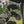 Load image into Gallery viewer, Knit Golf Headcovers
