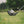Load image into Gallery viewer, TaylorMade Distance+ Golf Balls (3 pack)
