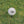 Load image into Gallery viewer, TaylorMade Distance+ Golf Balls (3 pack)

