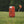 Load image into Gallery viewer, Icon Koozie
