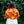 Load image into Gallery viewer, Leosaurus Tropical Shirt
